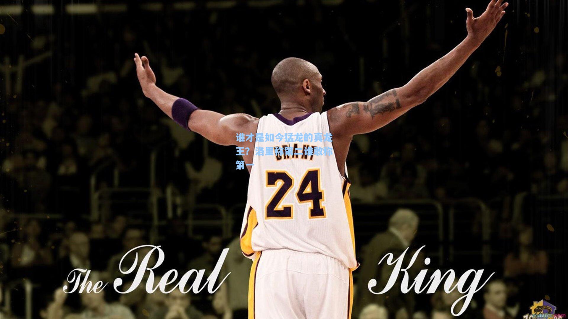 谁才是如今猛龙的真龙王？洛里称第二谁敢称第一